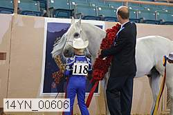 14yn_00606 proof