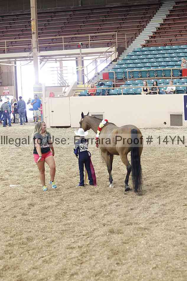 Proof 14yn_00608
