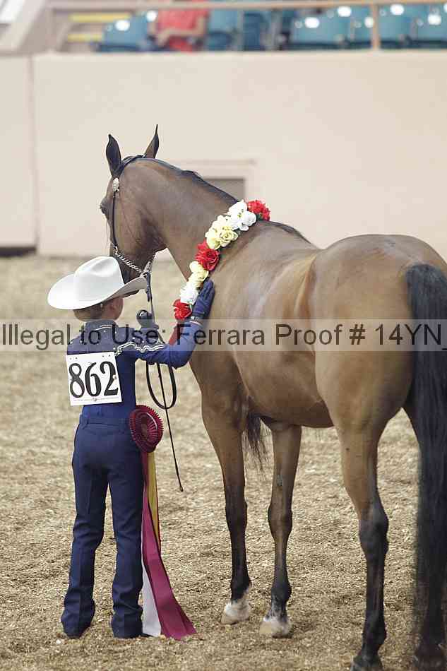 Proof 14yn_00609