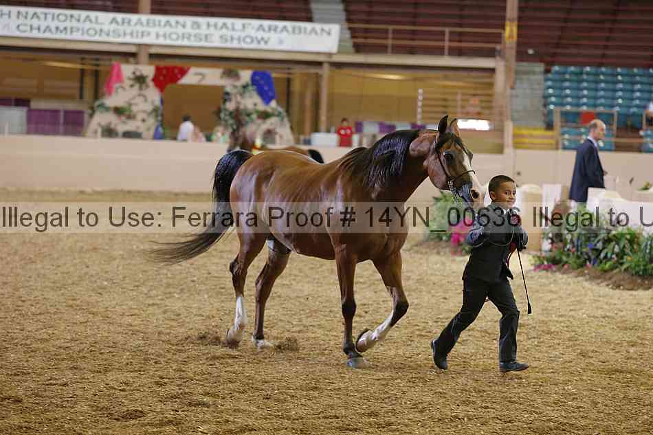 Proof 14yn_00636