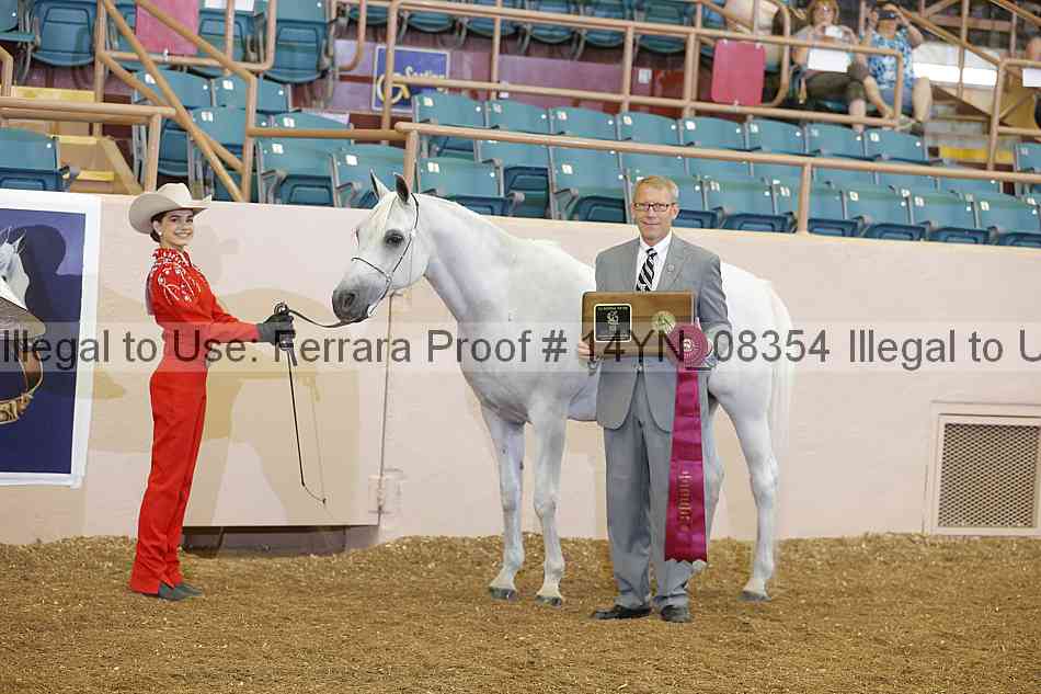 Proof 14yn_08354