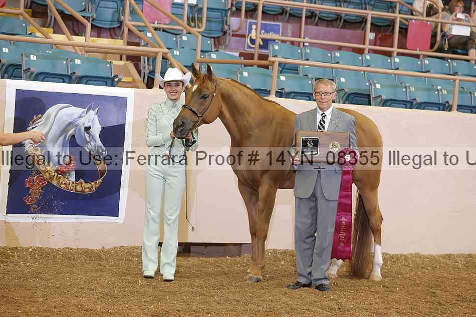Proof 14yn_08355