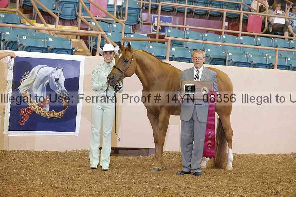 Proof 14yn_08356