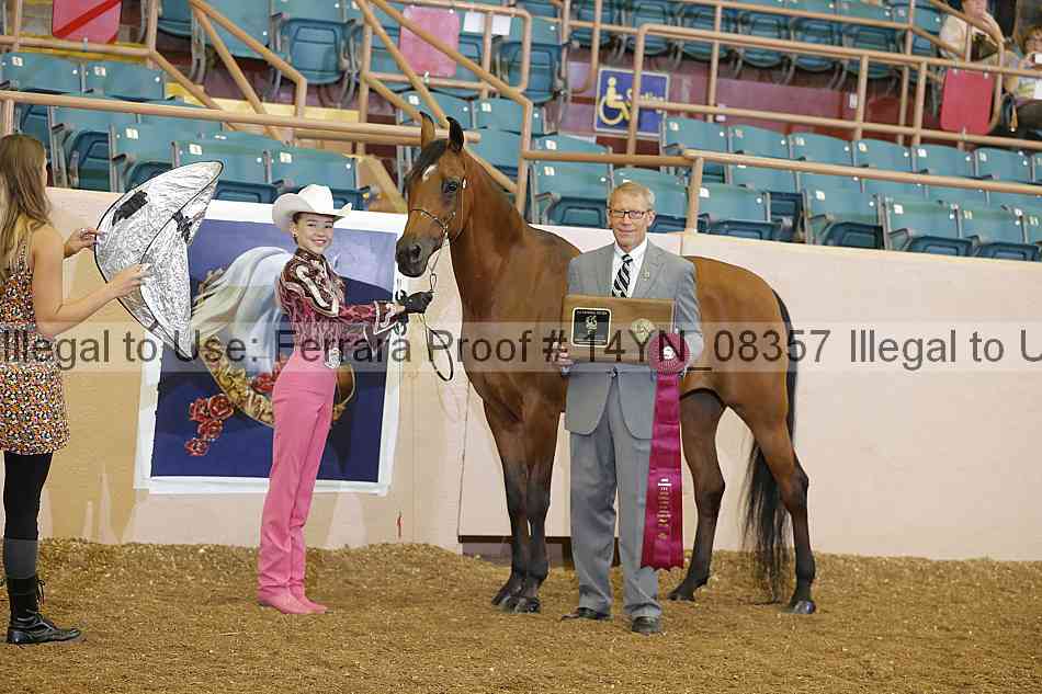 Proof 14yn_08357