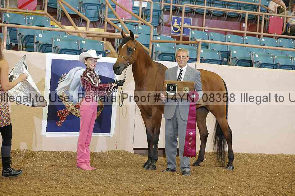 Proof 14yn_08358