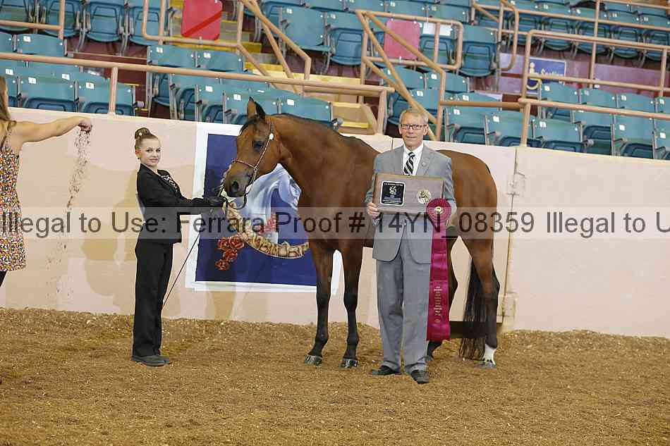 Proof 14yn_08359