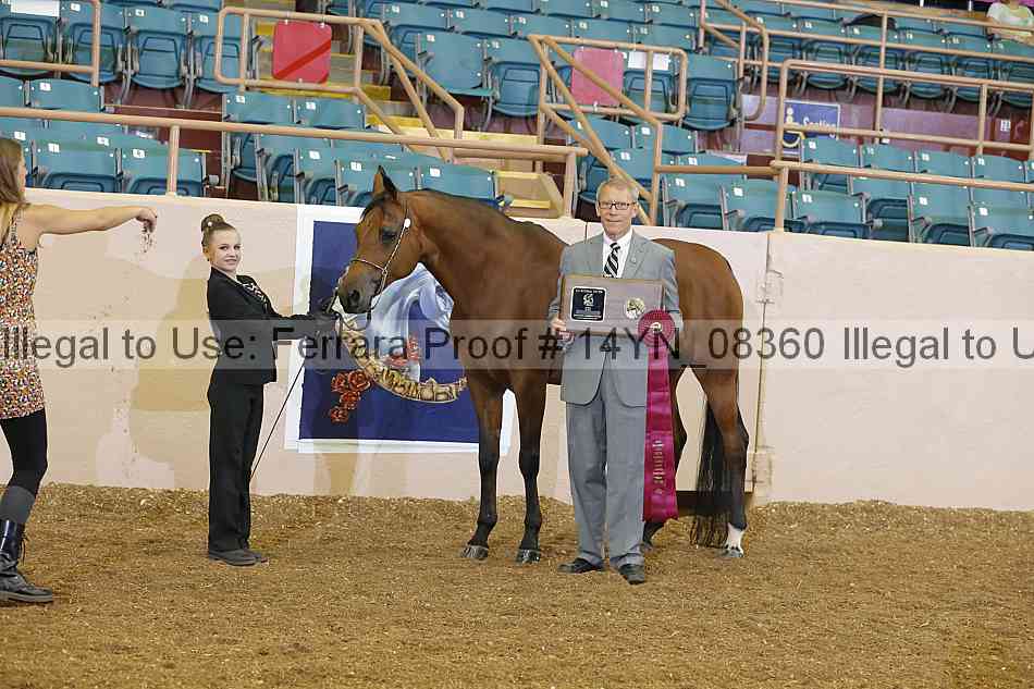 Proof 14yn_08360