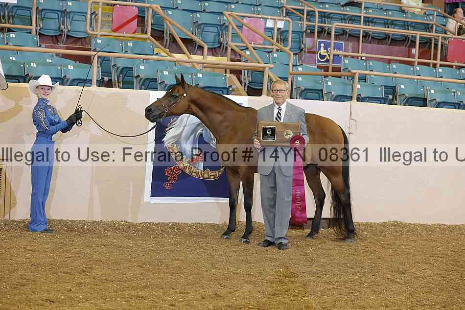 Proof 14yn_08361