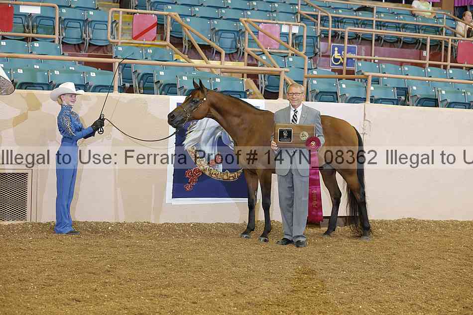 Proof 14yn_08362