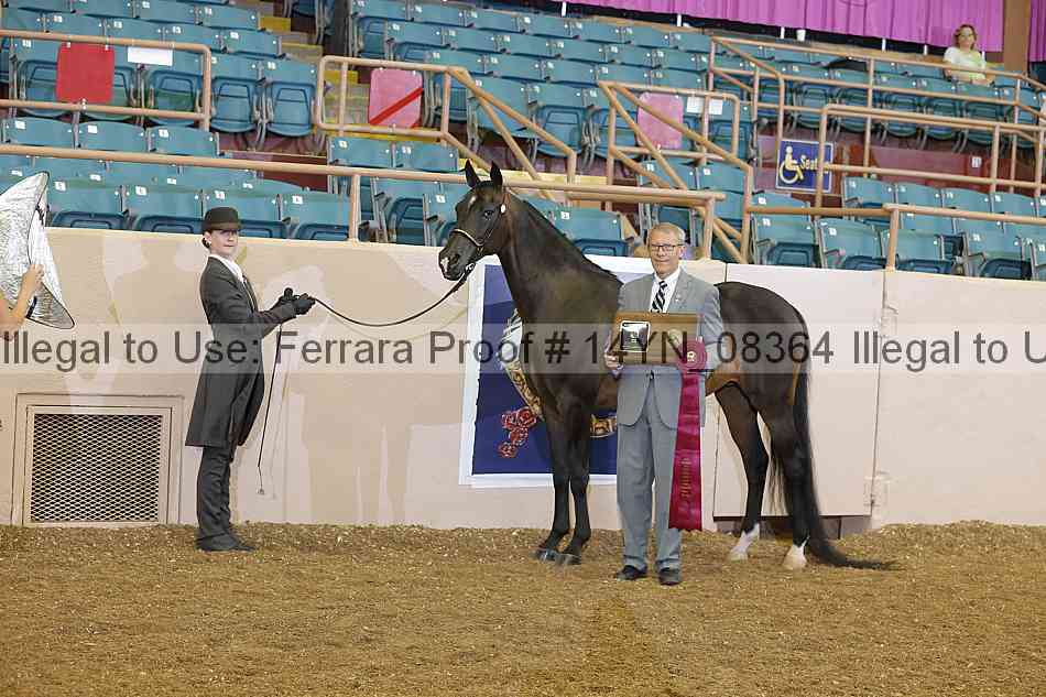 Proof 14yn_08364