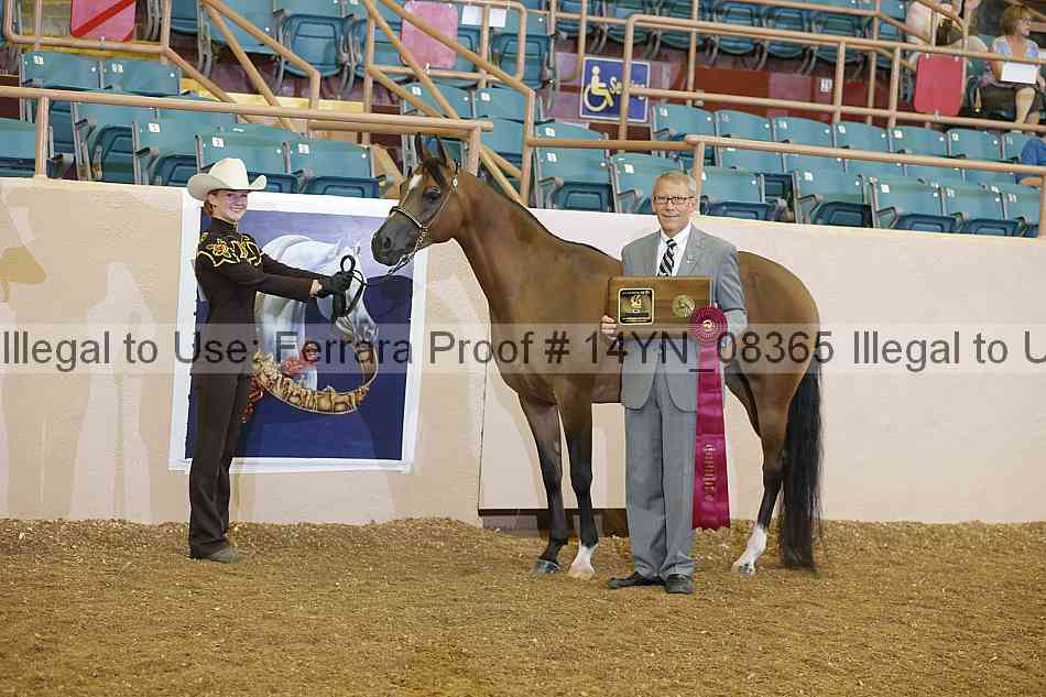 Proof 14yn_08365