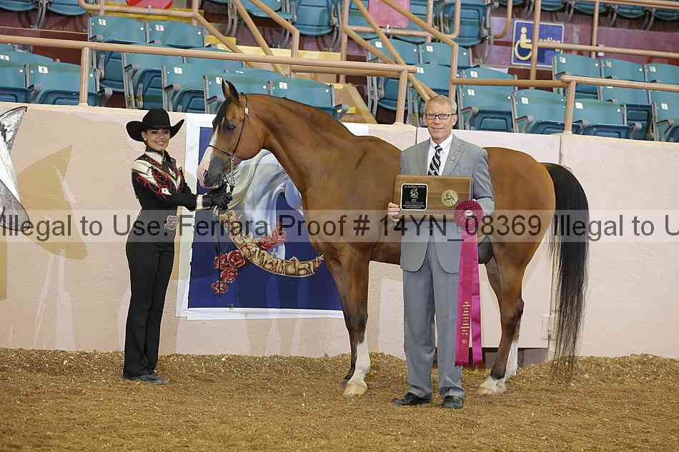 Proof 14yn_08369