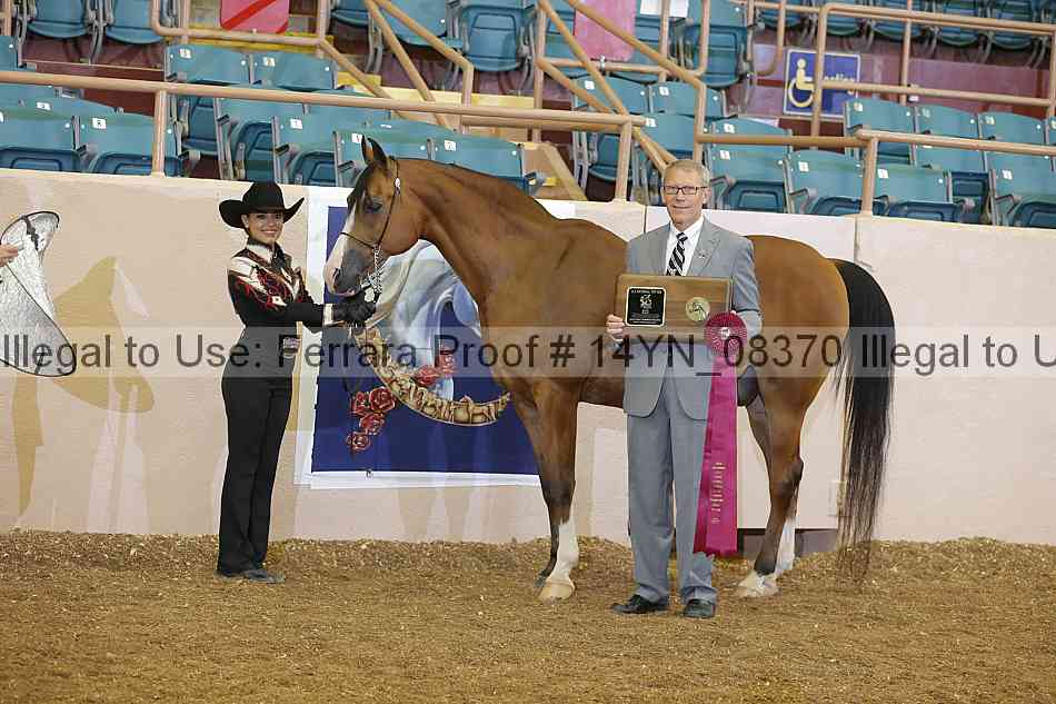 Proof 14yn_08370