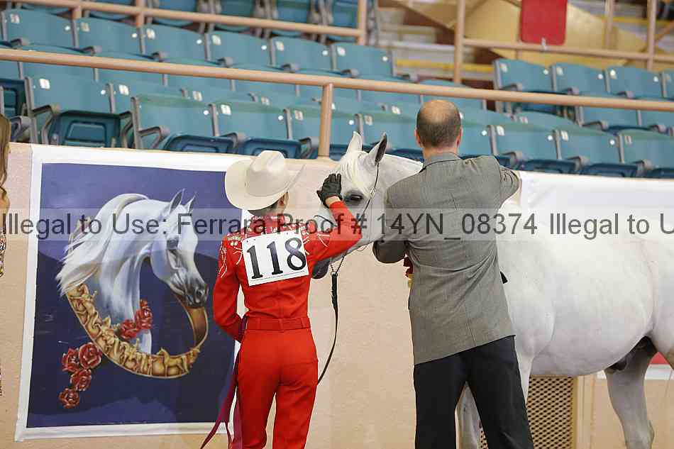 Proof 14yn_08374