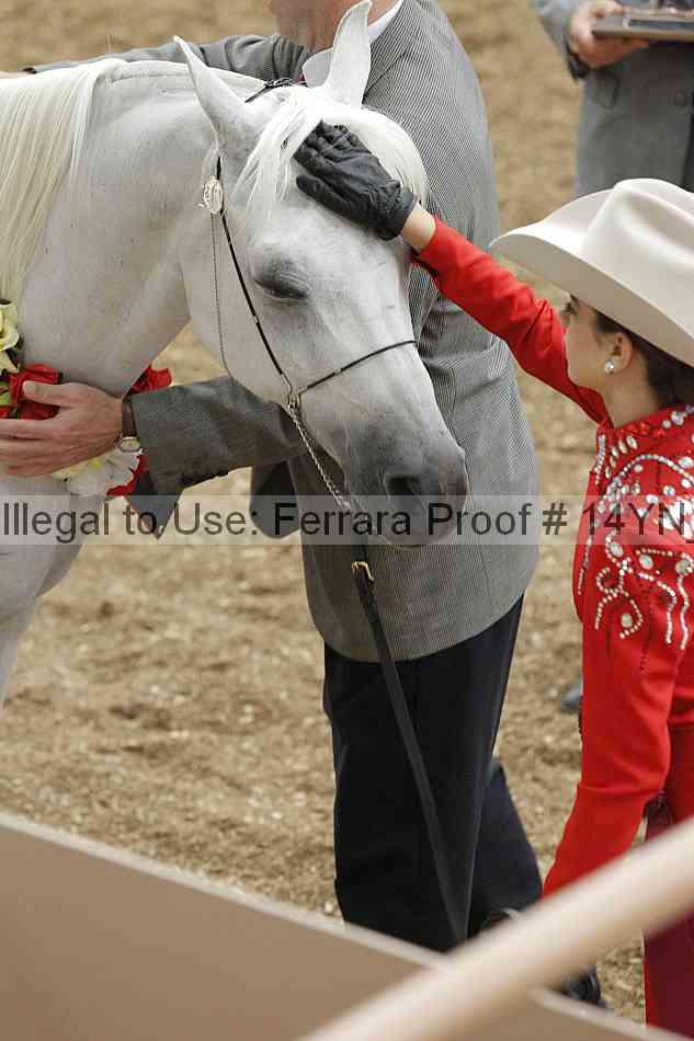 Proof 14yn_08375
