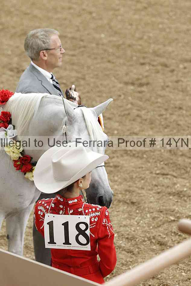 Proof 14yn_08377