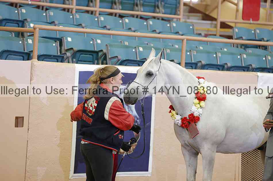 Proof 14yn_08380