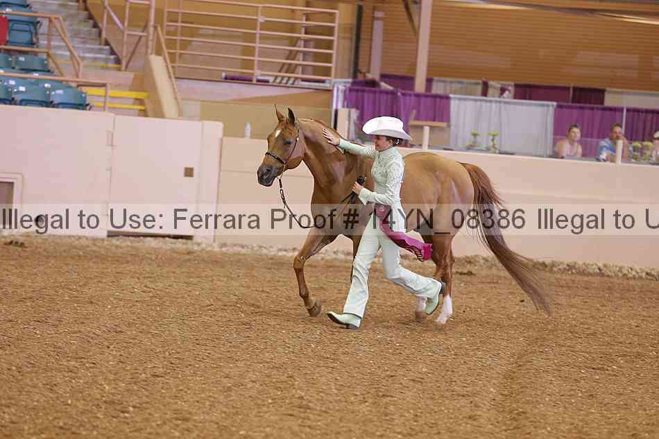 Proof 14yn_08386