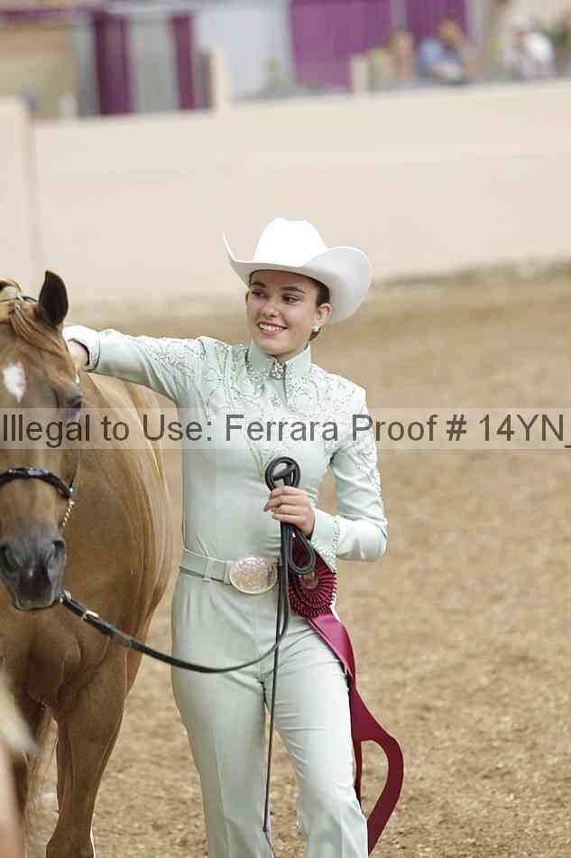 Proof 14yn_08388