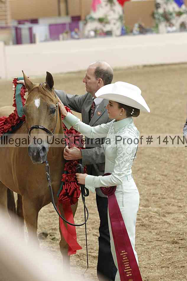 Proof 14yn_08390