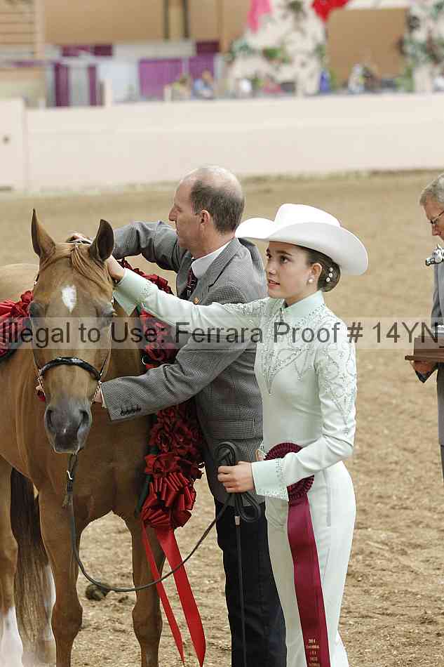 Proof 14yn_08391