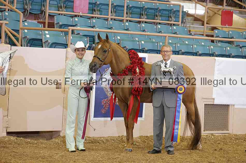 Proof 14yn_08392