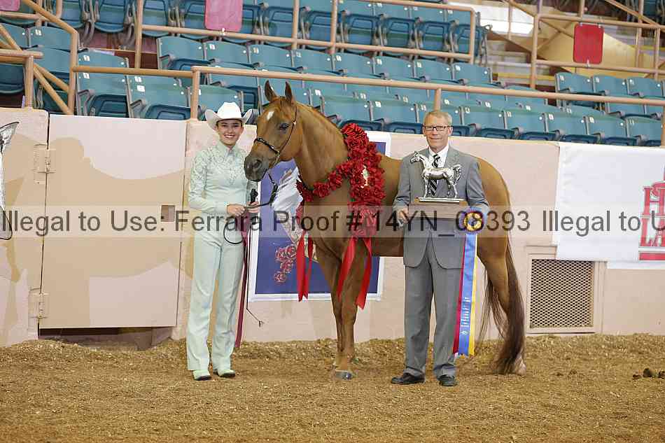 Proof 14yn_08393