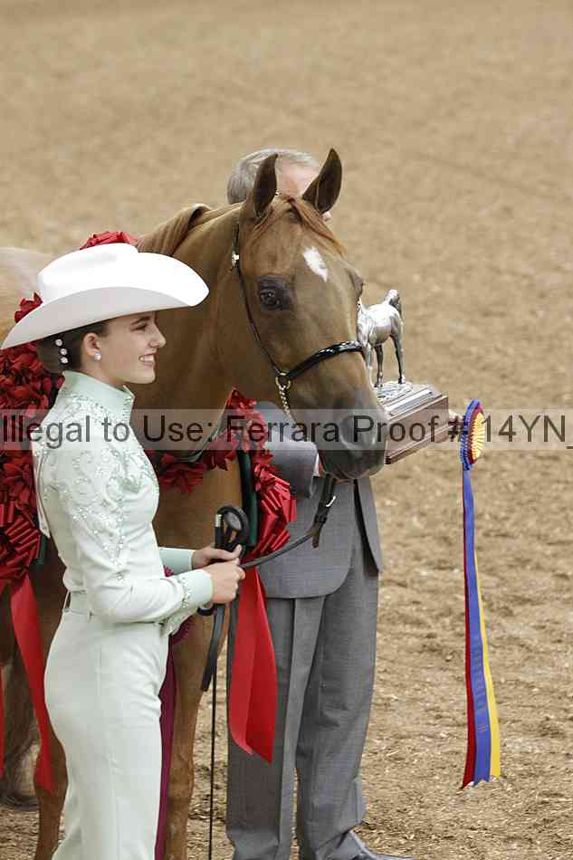 Proof 14yn_08394