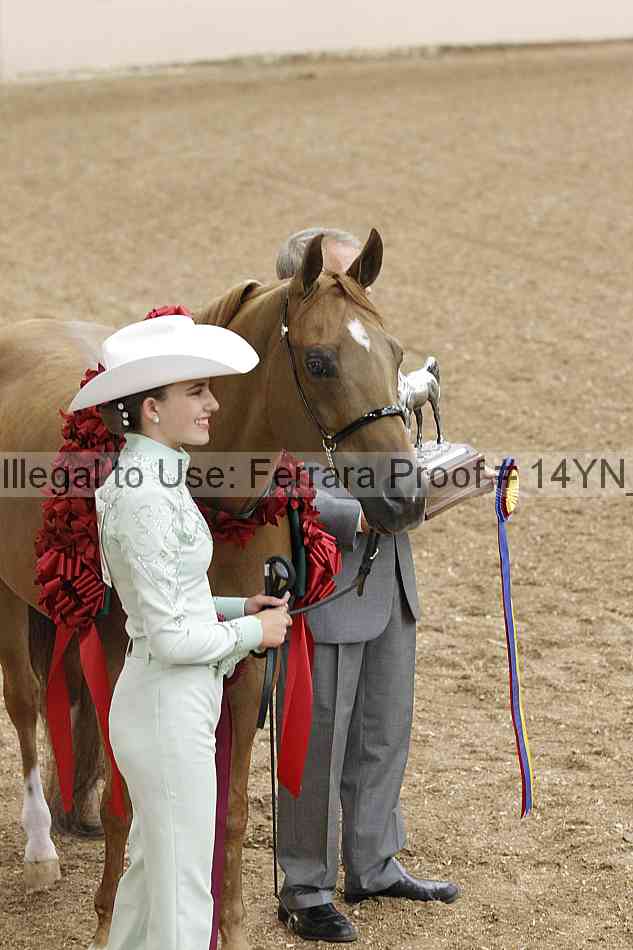 Proof 14yn_08395