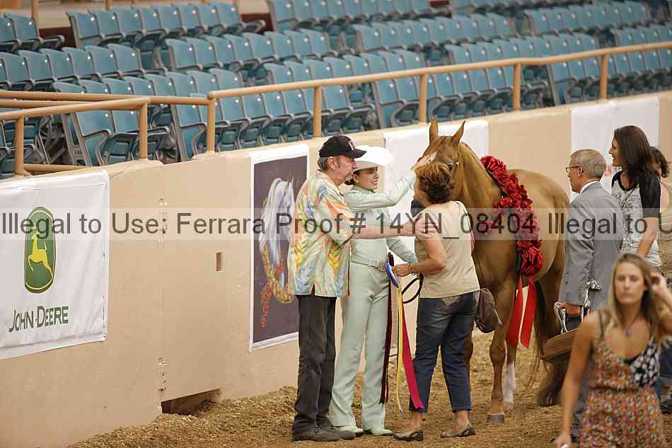 Proof 14yn_08404
