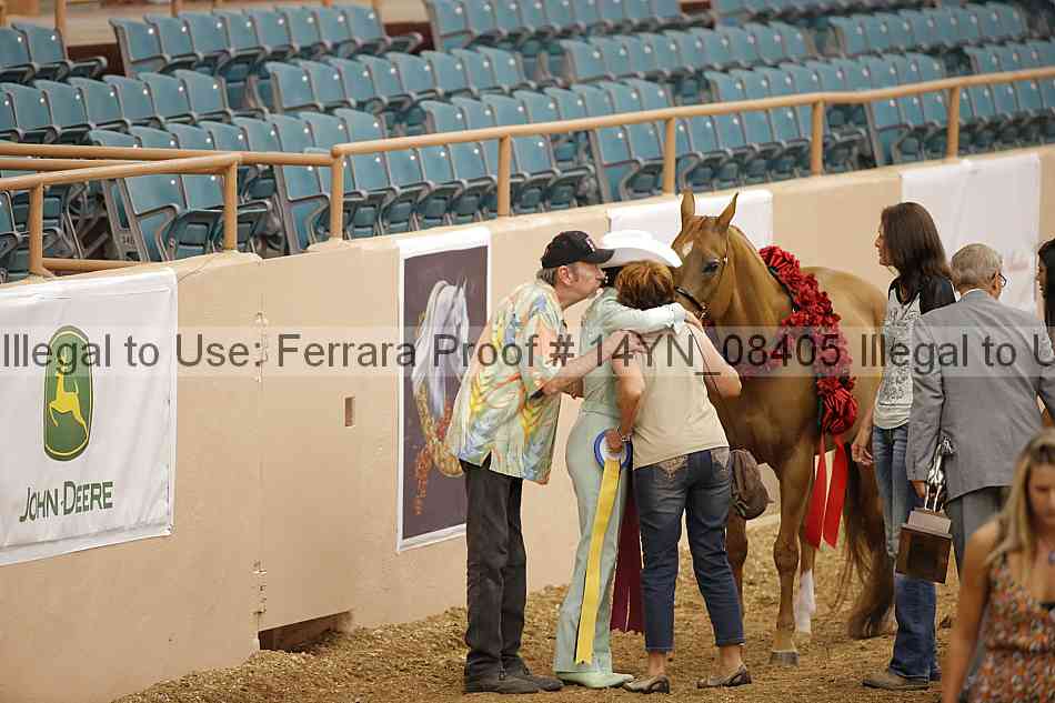 Proof 14yn_08405