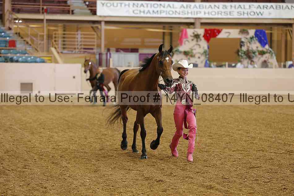 Proof 14yn_08407