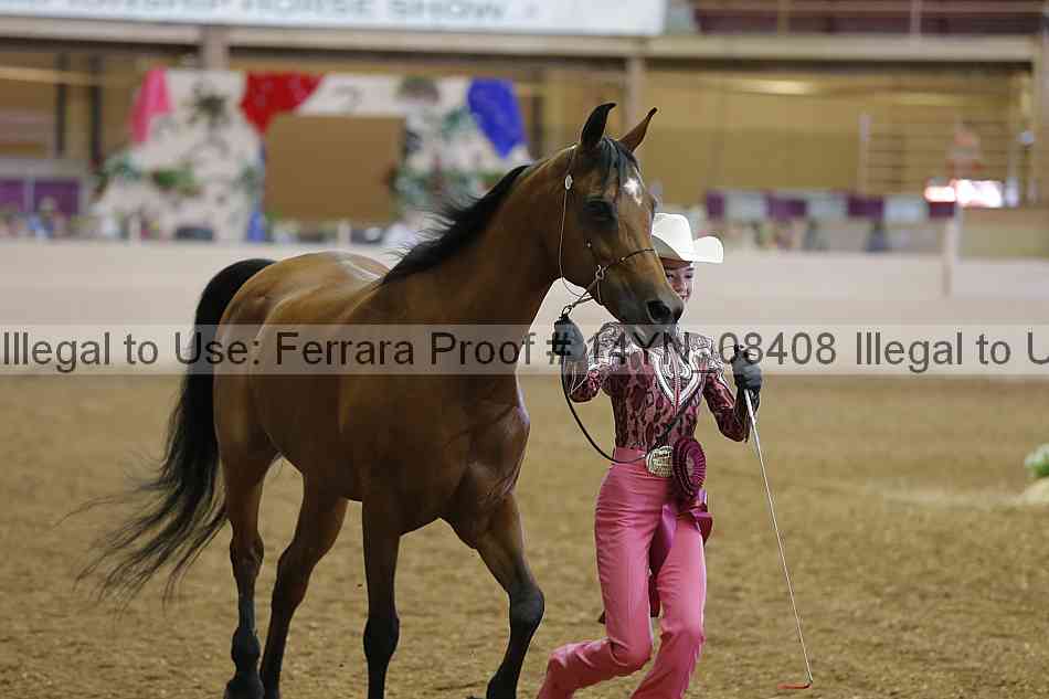 Proof 14yn_08408
