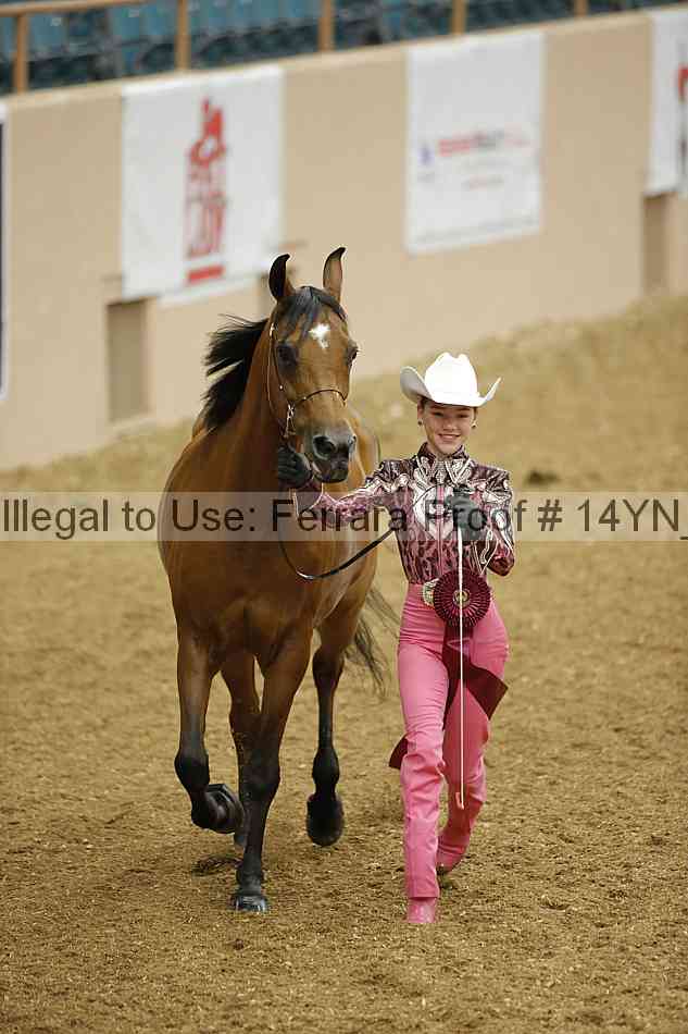 Proof 14yn_08411