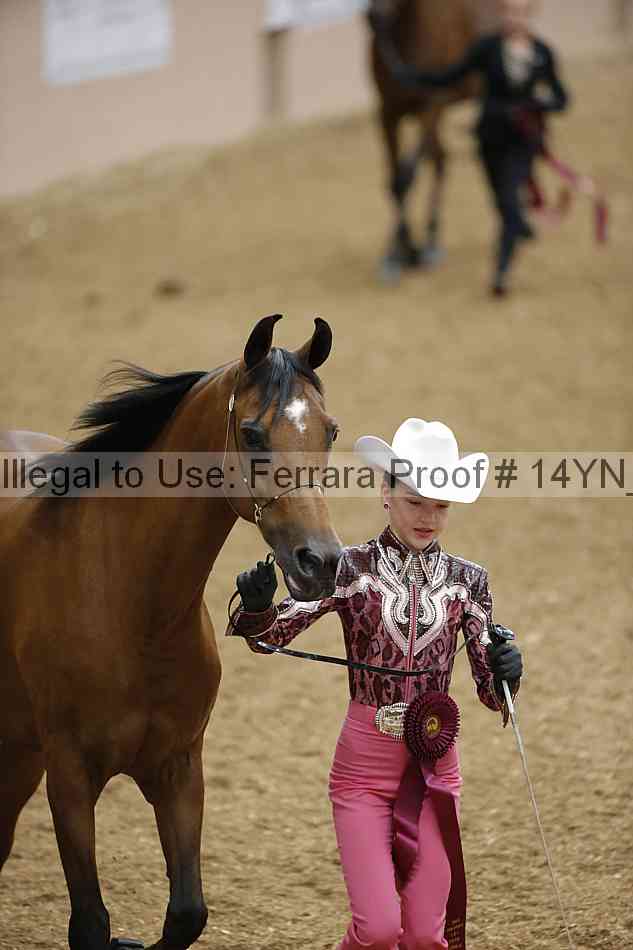 Proof 14yn_08412