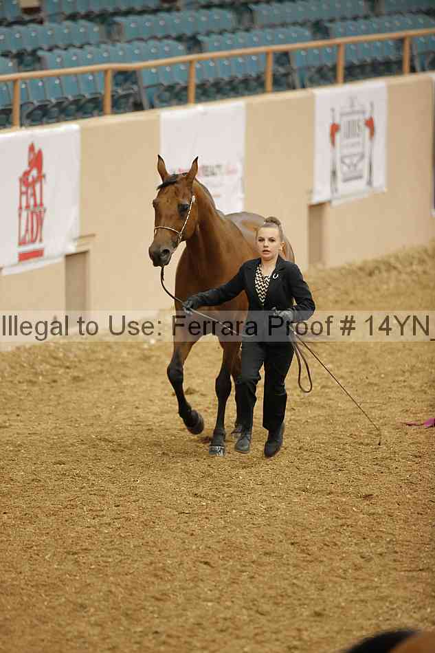 Proof 14yn_08413