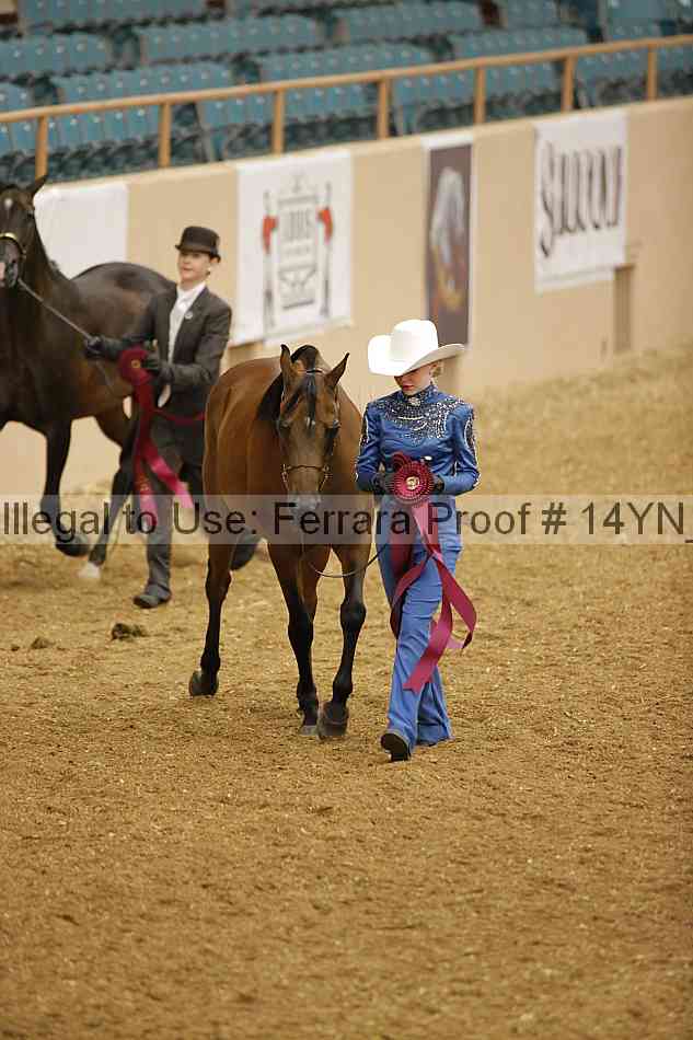 Proof 14yn_08415