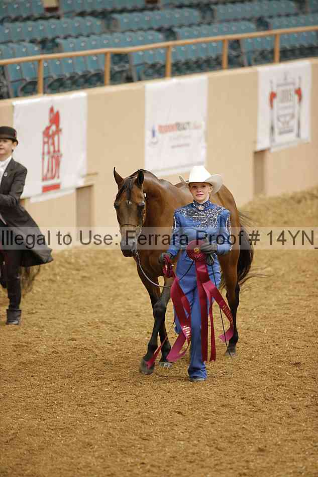 Proof 14yn_08416