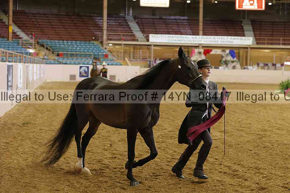 Proof 14yn_08417