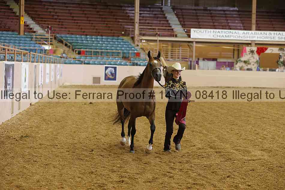 Proof 14yn_08418