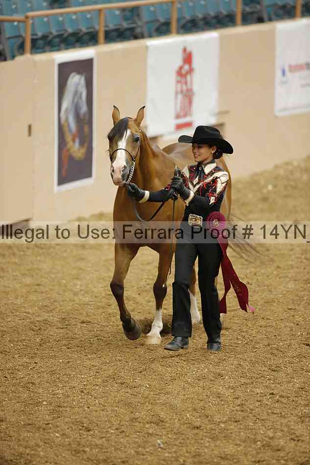 Proof 14yn_08431