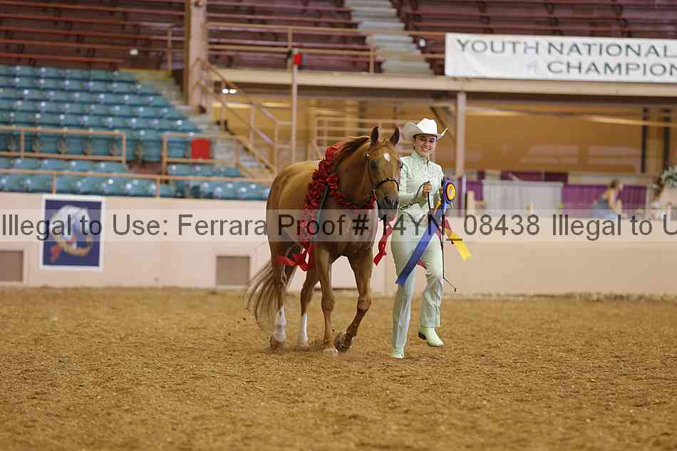 Proof 14yn_08438