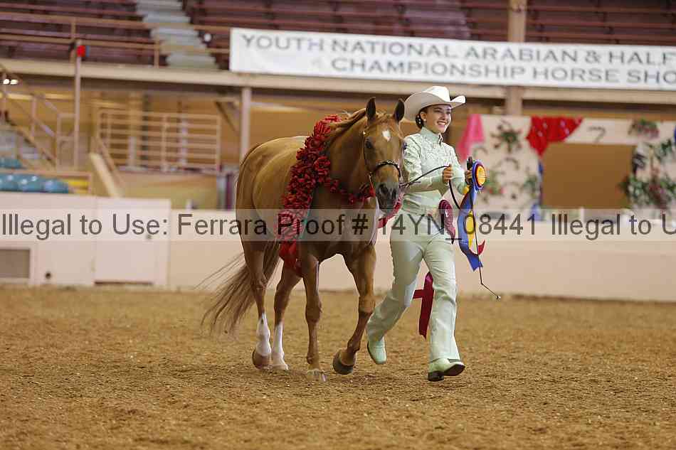 Proof 14yn_08441