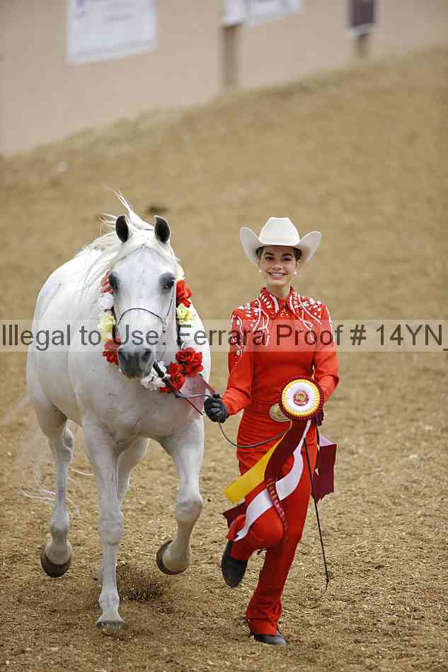 Proof 14yn_08443