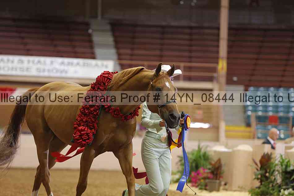 Proof 14yn_08444