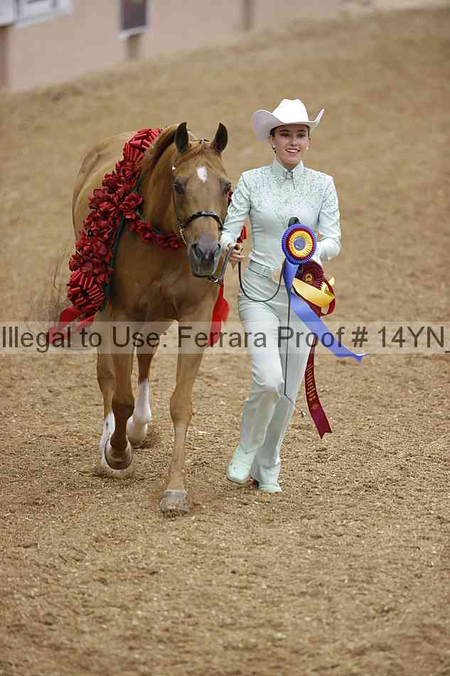 Proof 14yn_08447