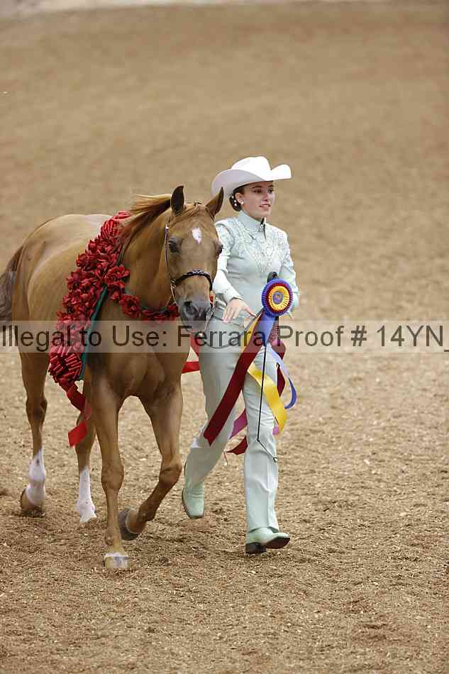 Proof 14yn_08449