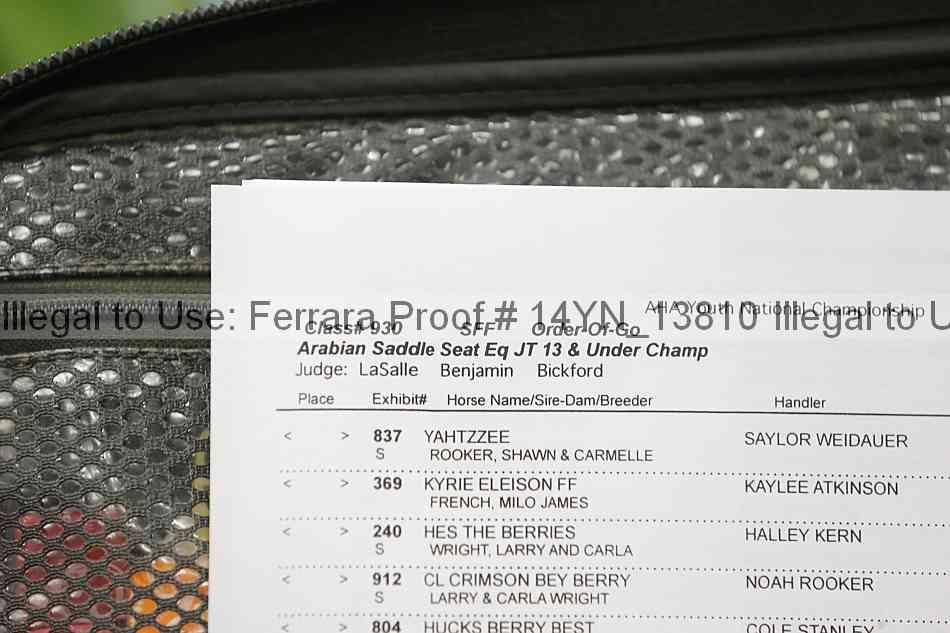 Proof 14yn_13810