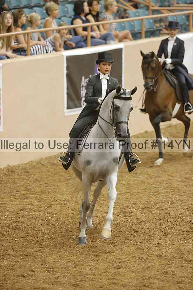 Proof 14yn_13835