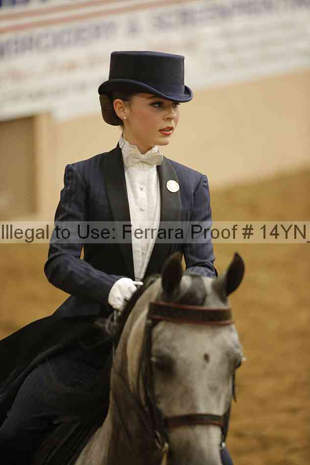 Proof 14yn_13840
